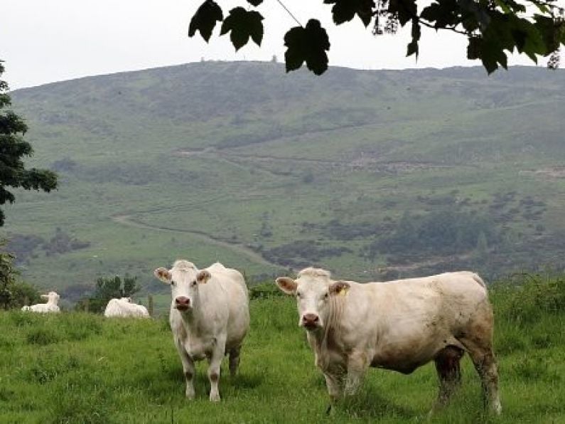 Coalition leaders fail to agree climate targets in farming sector