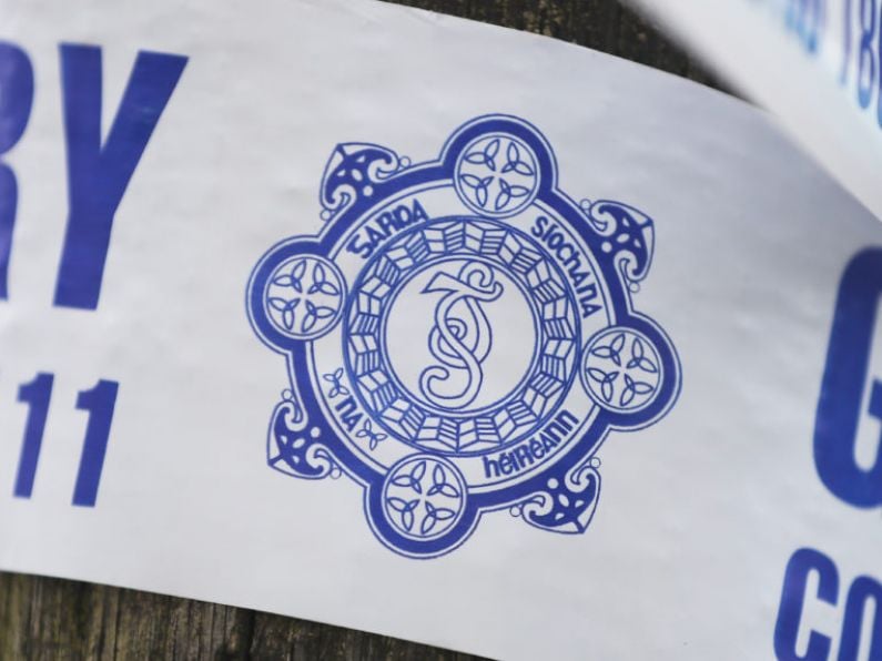 Gardai believe an arson attack led to the deaths of two children in a car fire in Co Westmeath