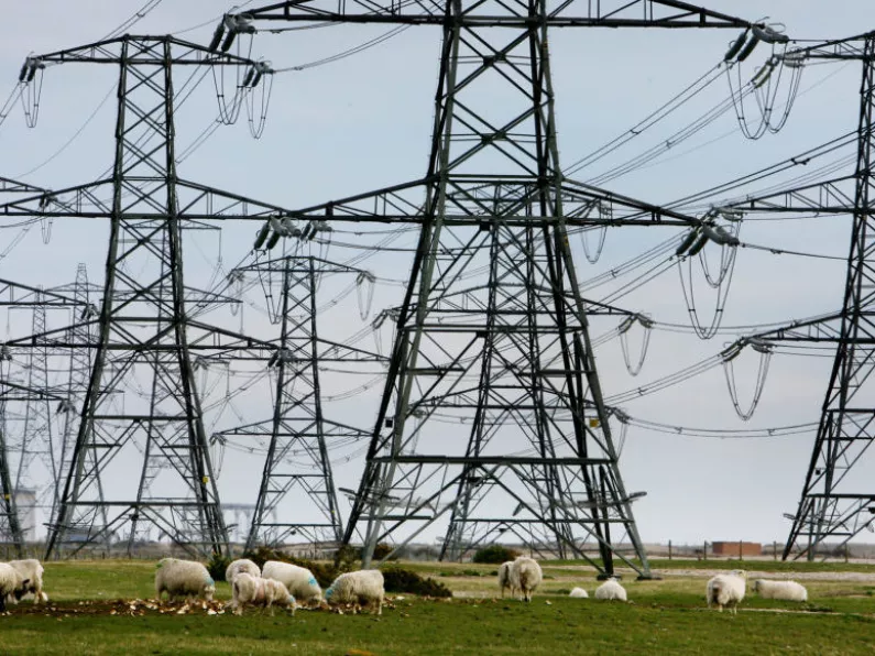 Emergency electricity plant receives approval amid fears over State supply