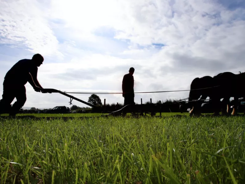 Could South East contenders take home World Title at Ploughing?