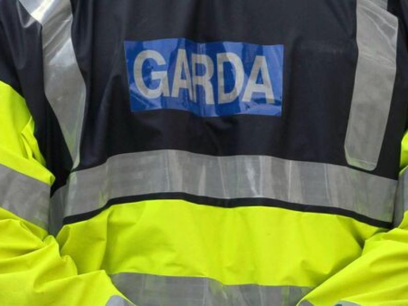 Three gardaí shot with pellet gun while trying to execute court orders