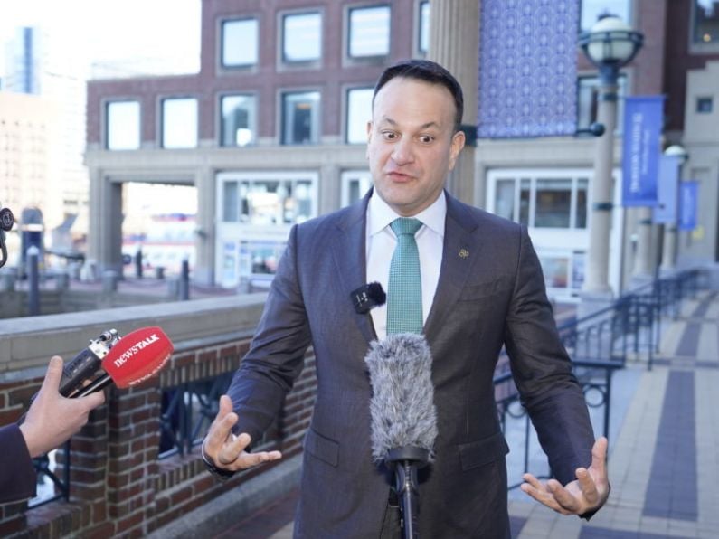 Taoiseach questions ‘wisdom’ of coalition TDs voting against referendums