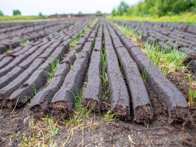 Ireland will take bog conservation ‘massively seriously’, says McConalogue