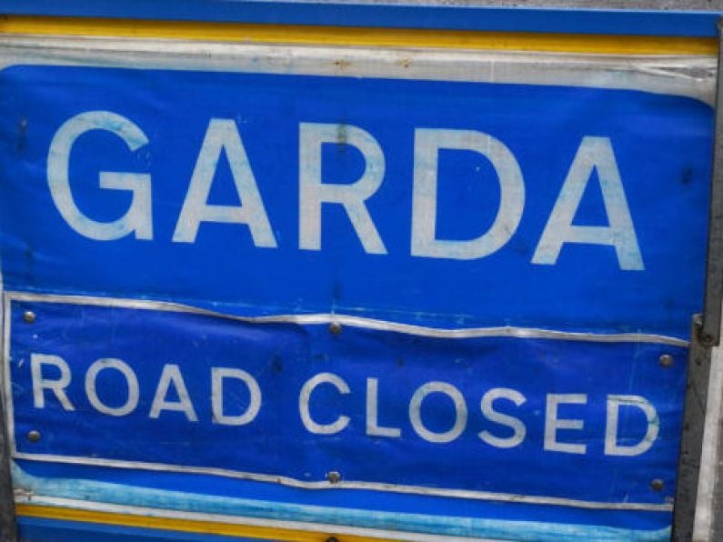 Gardaí and Gsoc investigating fatal hit-and-run overnight