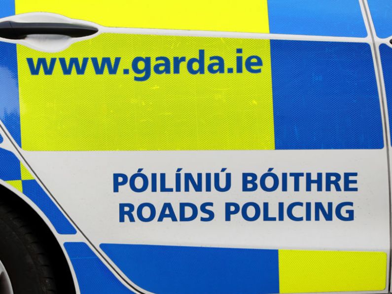 Gardaí out in force for National Slow Down Day