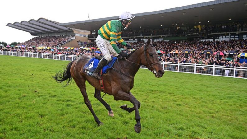I Am Maximus to get official welcome home to Carlow after Grand National victory
