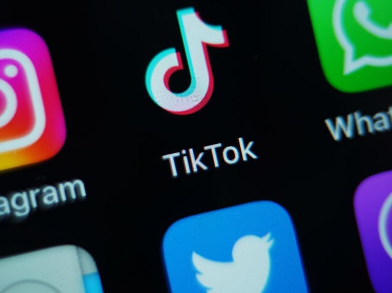 TikTok removes 80 million under-age accounts per year, committee told