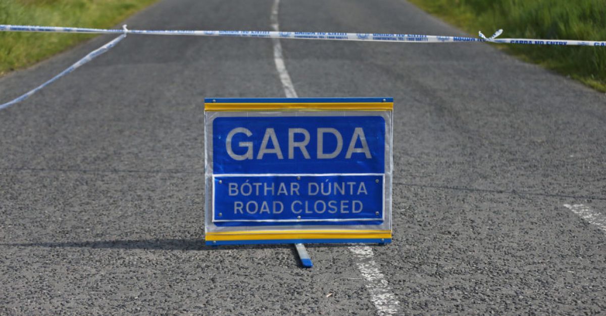 The collision occurred before 5 am at Slaney Park, Baltinglass, County Wicklow, minutes from the Carlow border. 