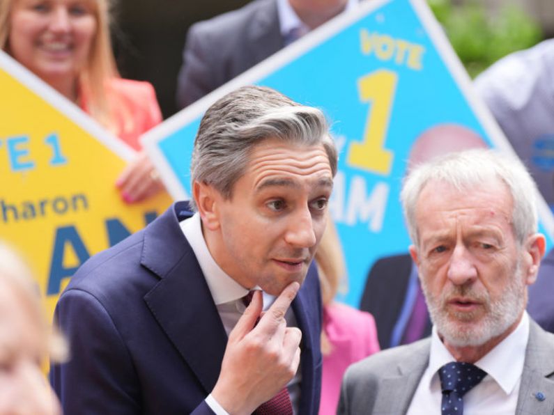 Investigation launched after protesters disrupt Simon Harris election canvass in Mayo