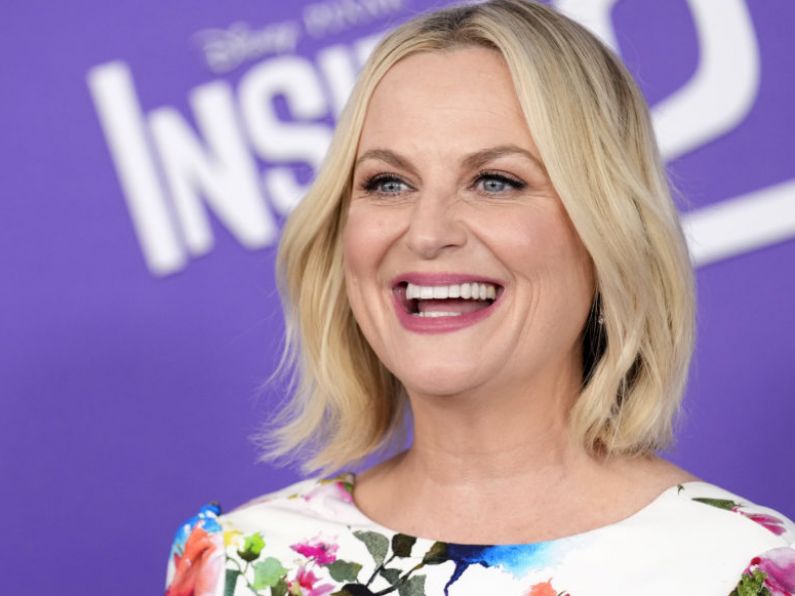 Amy Poehler and Lewis Black say new emotions ‘add so much’ to Inside Out sequel