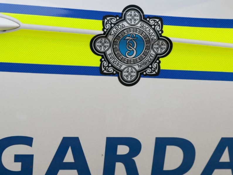 Teenager arrested after violent disorder incidents in Phoenix Park