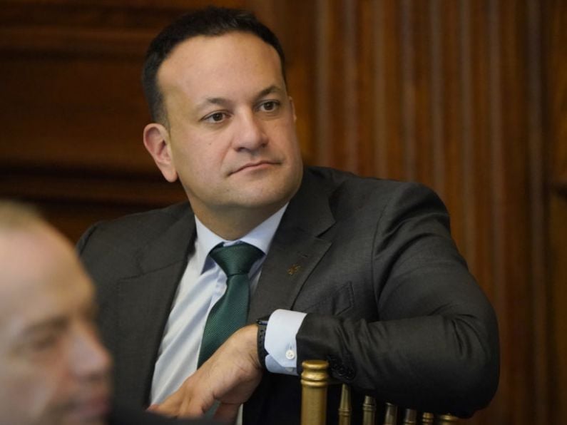 Former taoiseach Leo Varadkar will not stand in next general election