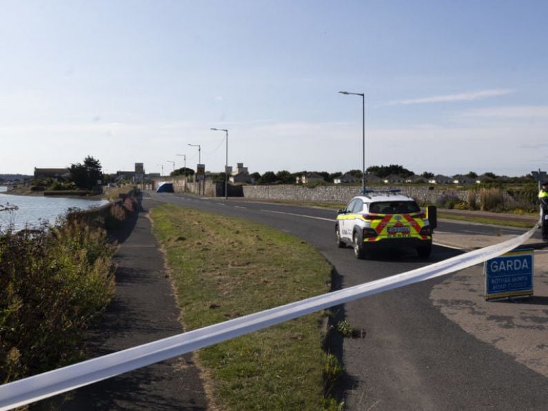 Man (40s) killed after hit-and-run incident in Dublin