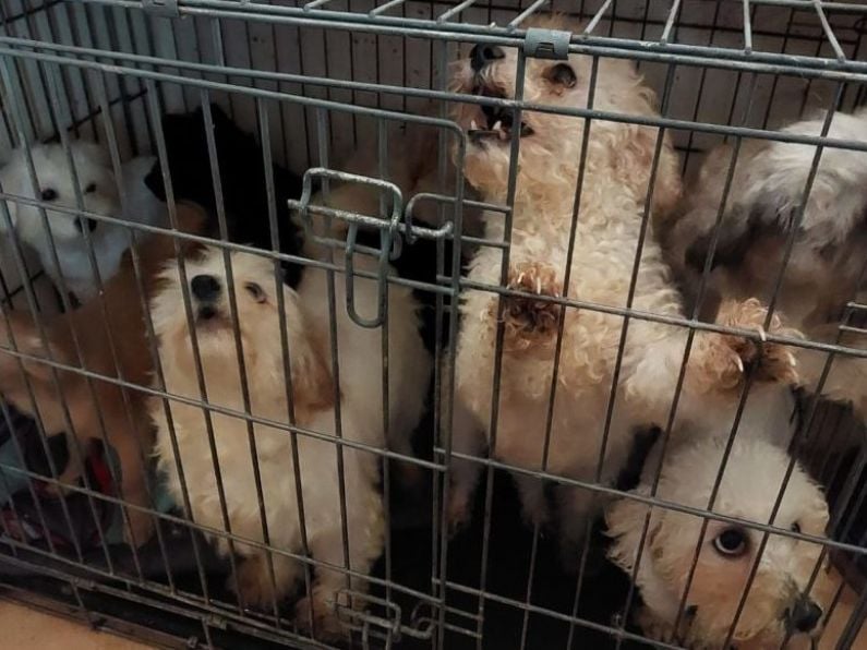 Woman banned from owning animals after multiple found without food and water