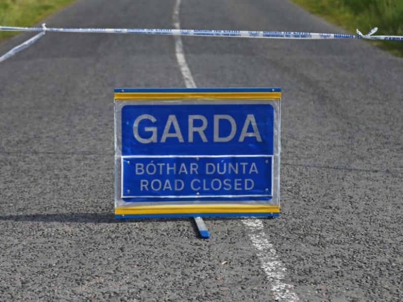 Man dies in single car collision in Kilkenny