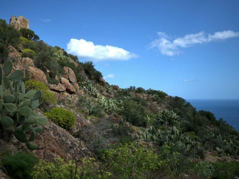 Body of Irish man (39) located in Sardinia