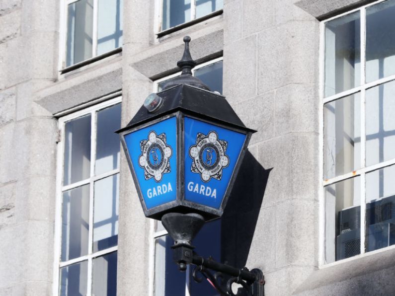 Garda allegedly used bananas to harass fellow female officer who rejected advances