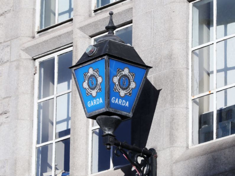 Intoxicated teen girl spat on two Gardaí and bit another in station