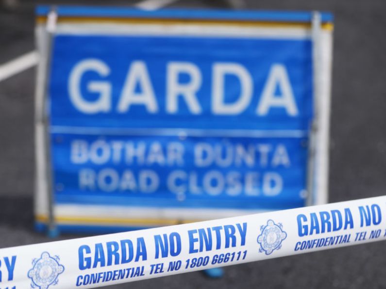 Gardaí at the scene of Tipperary crash