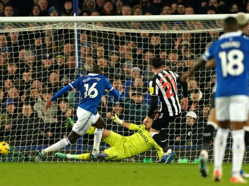 Everton out of relegation zone after stunning Newcastle at fired-up Goodison