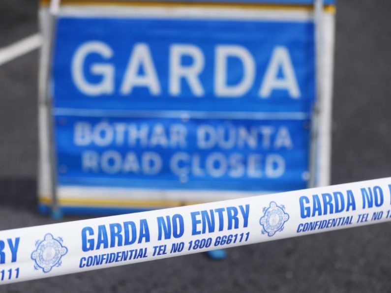 Man (20s) dies after motorway collision in Co Kildare