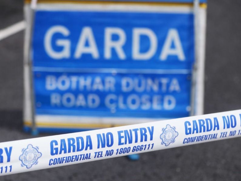 Emergency services at scene of Wexford crash