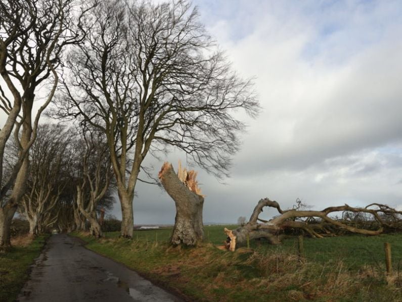 Storm Jocelyn: Thousands remain without power as more 'damaging gusts' hit Ireland