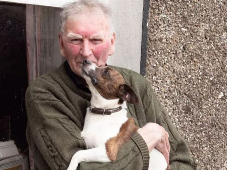 Elderly Irish man wins court bid to get Jack Russell back after 176,000 sign petition