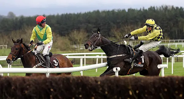 Colin Tizzard announces death of top-class chaser Finian's Oscar