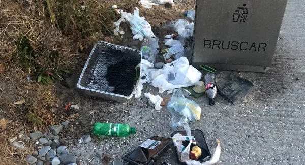 'Humanity is doomed' - Meath beach walker left disgusted by left behind litter