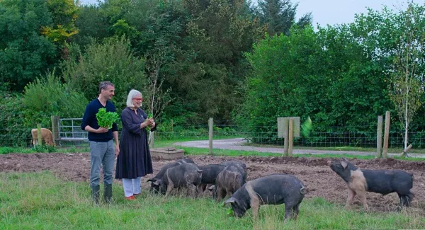 New Netflix documentary shows off Ireland's food scene