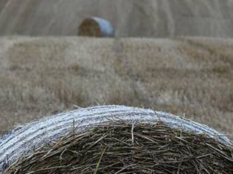 Irish farmers warn of nationwide fodder shortage