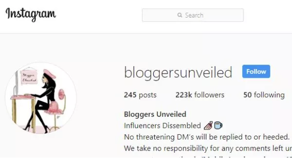 'Nasty, toxic, vindictive': Person behind Bloggers Unveiled removing themselves from Instagram page