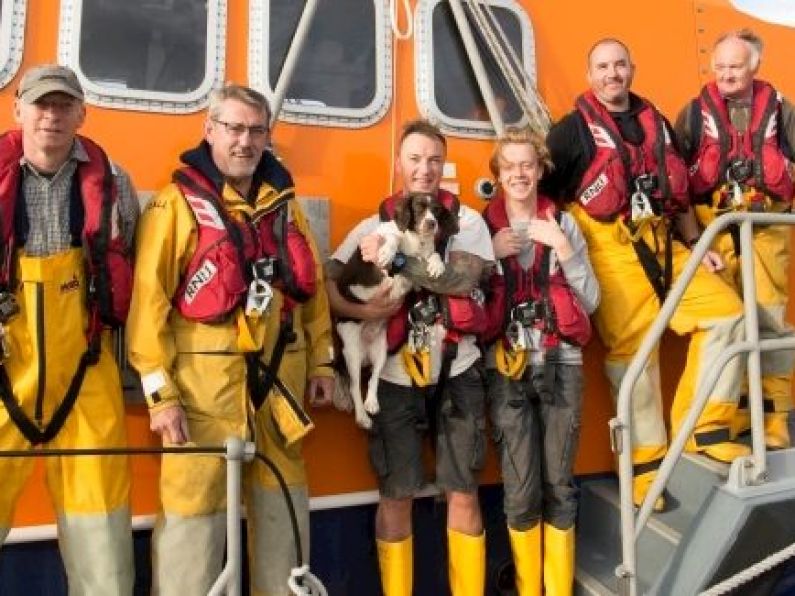 Lifeboat crew rescue two dogs in separate call-outs this evening