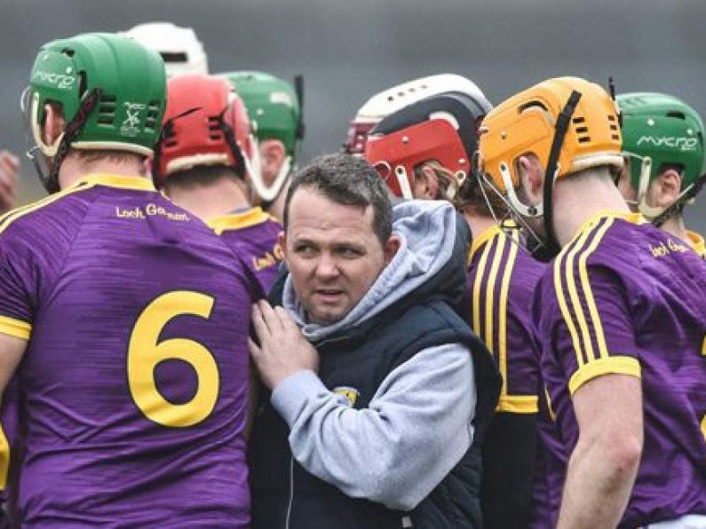 Confirmed: Davy Fitzgerald to continue as Wexford manager