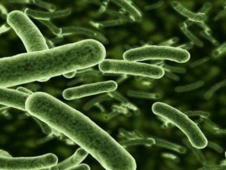 E-coli cases rising faster in Ireland than other European countries