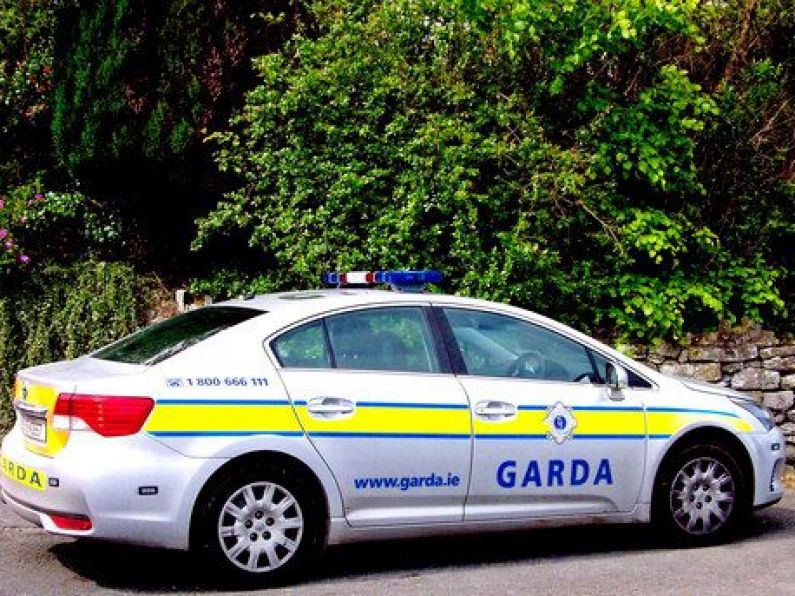 Four arrested following Garda search of 11 houses in Co. Wexford