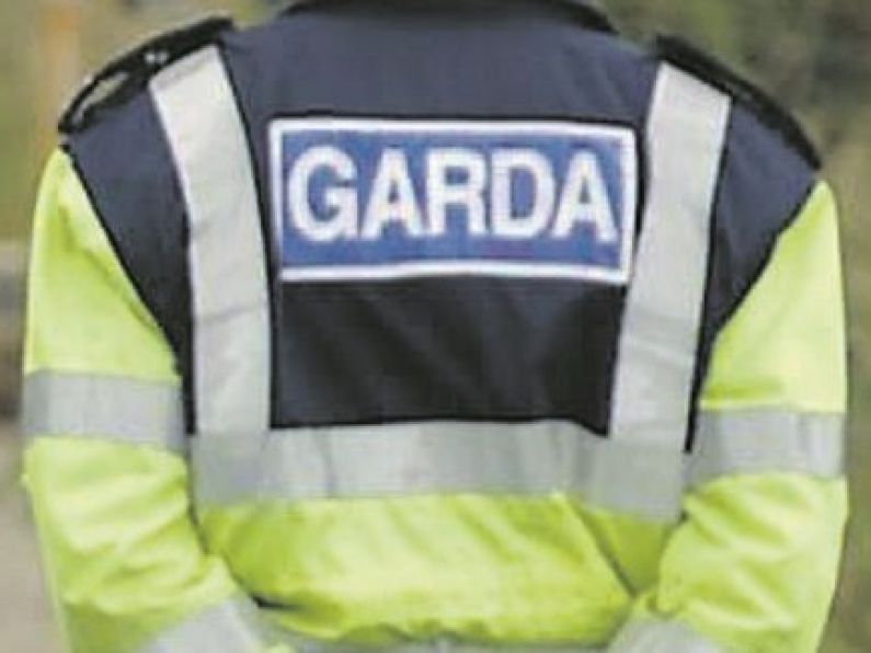 Two men arrested after Gardaí seize €50k worth of cocaine in Laois
