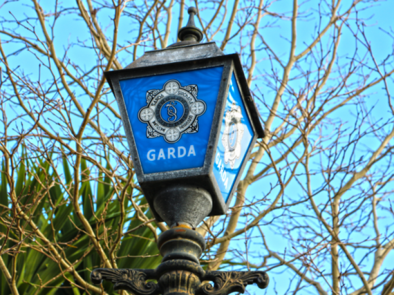 Gardaí investigation underway after 3-month-old kitten that was pushed through letterbox dies