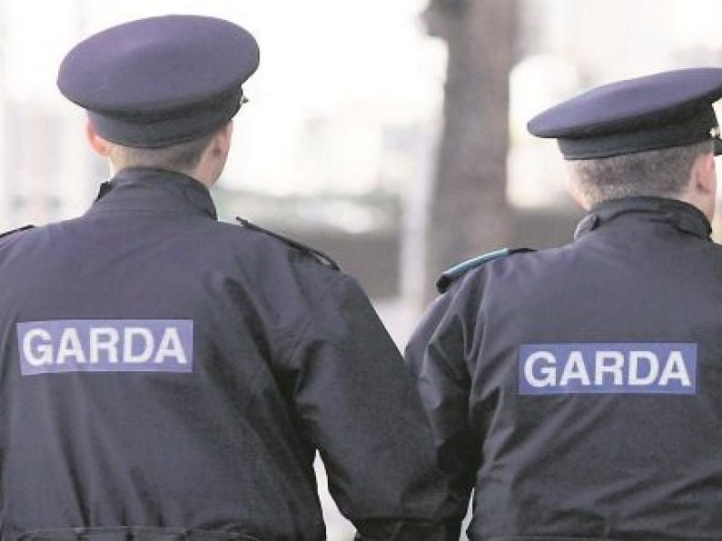 Gardaí in County Kilkenny appeal for information on driver