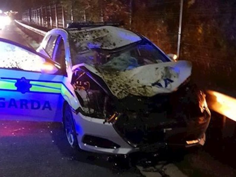 Gardaí injured after car hit by runaway horse