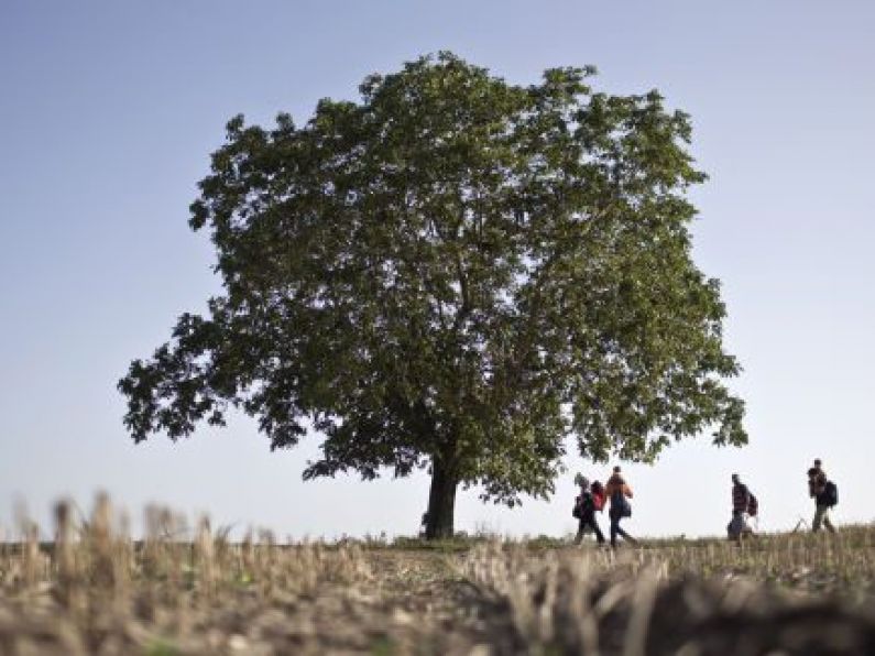 Two migrants found dead in forest in Croatia