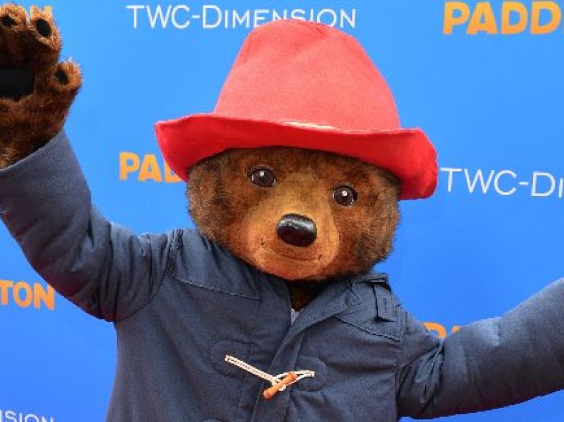 This dog dressed up like Paddington Bear is the cutest thing you’ll see all day