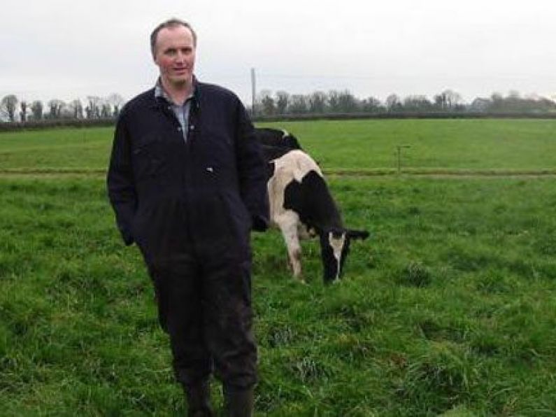 Dairy farms seek measures to offset €800m income hit
