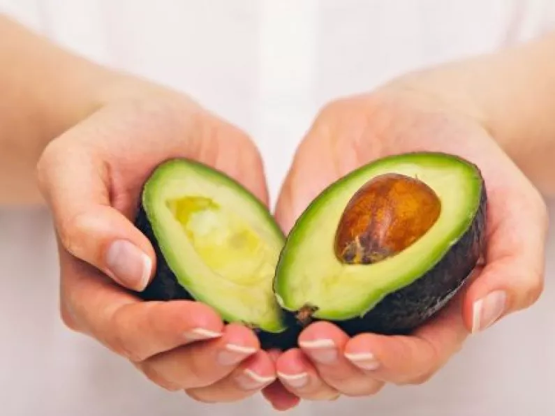 Australia has too many avocados so pigs dig in