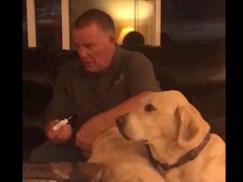 This dog got jealous of another dog's ear medicine
