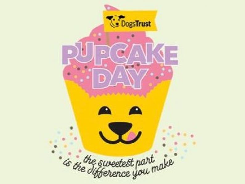 Dogs Trust launches second annual Pupcake Day