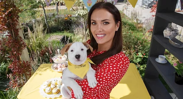 Dogs Trust launches second annual Pupcake Day