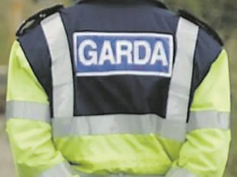 Two men arrested following Dublin firearm seizure