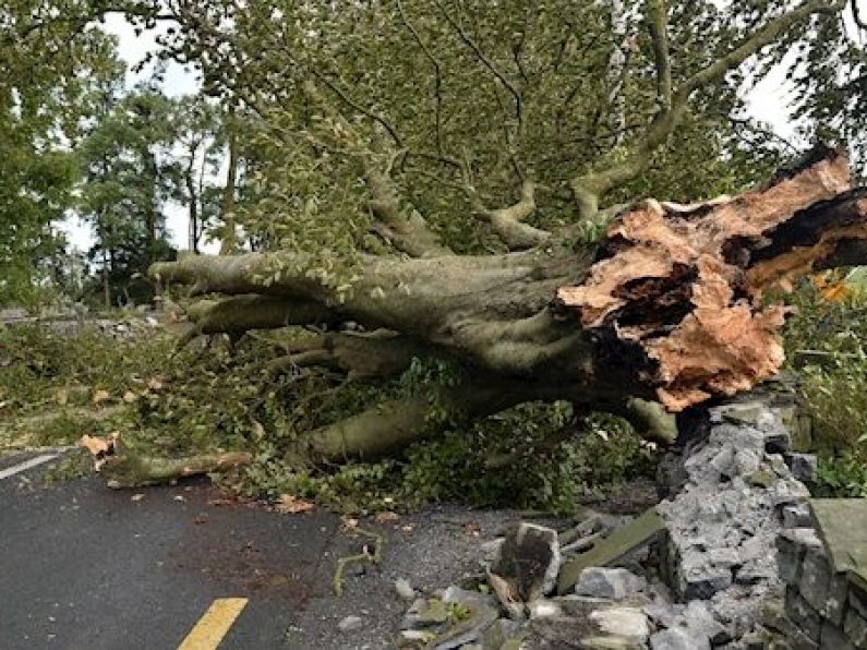 Storm Ali has claimed a second life